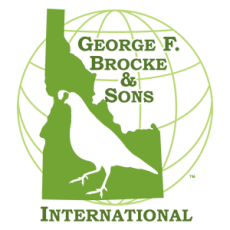 BrockeIntl_Logo_CMYK_ TRANS 150 pxl web.png